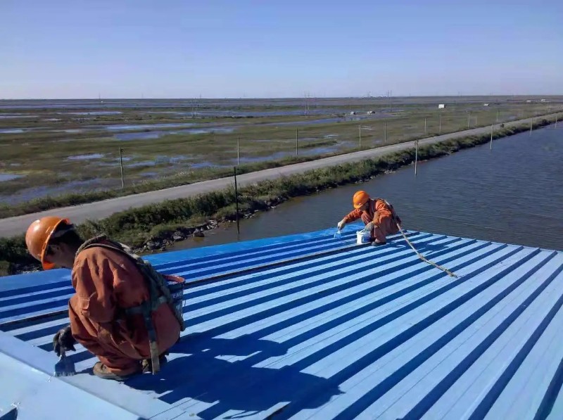 浦城钢结构屋面漏水原因